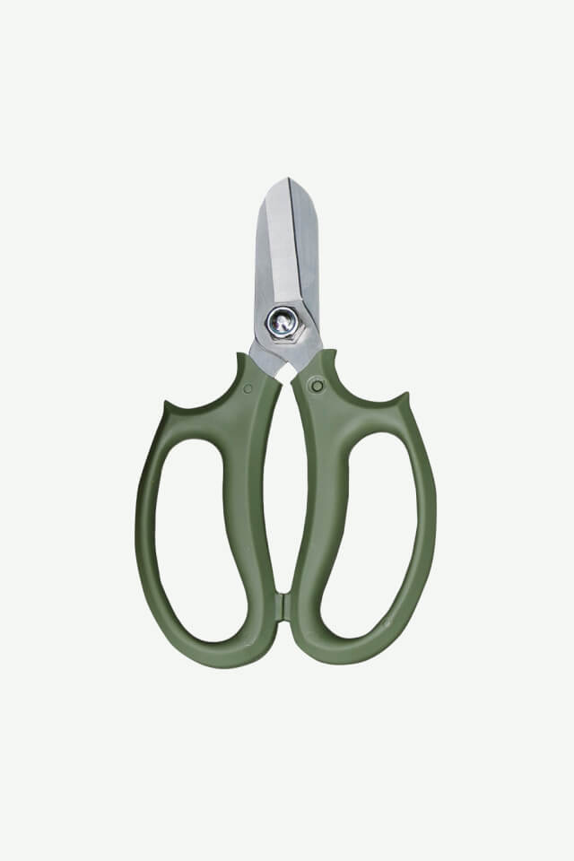plants ecommerce accessories product featured img 4 plants ecommerce accessories product featured img 4